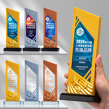 创意立体3D打印五角星奖杯定制年会颁奖优秀新人员工特殊贡献奖定做