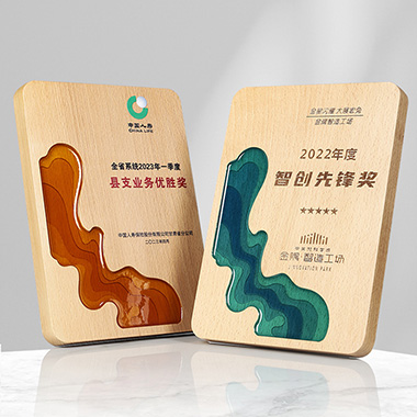 逆流而上榉木实木奖牌创意奖牌定制定做实木质授权牌定制表彰奖章荣誉牌匾定做纪念牌